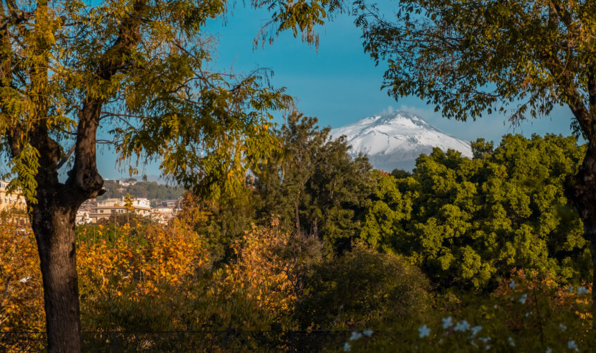 Giardino Bellini